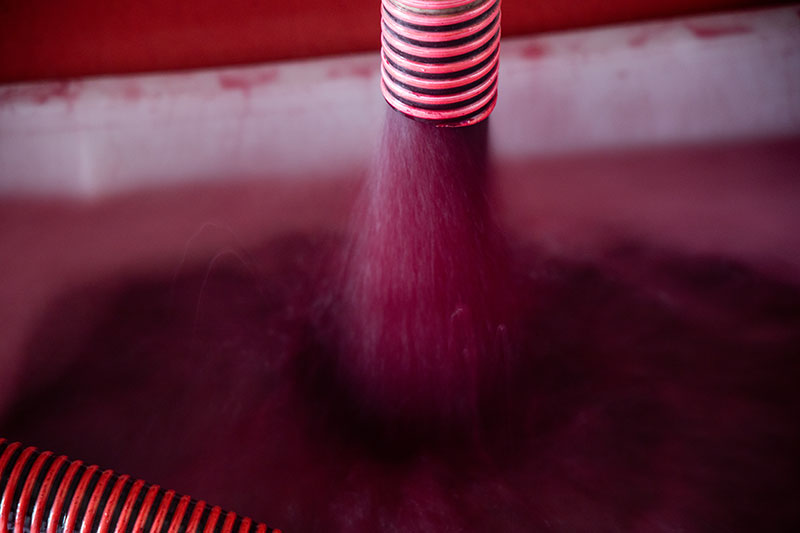 tenutaceri-winery-G01