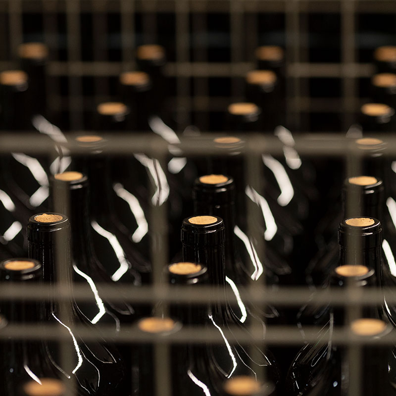tenutaceri-winery-G04+