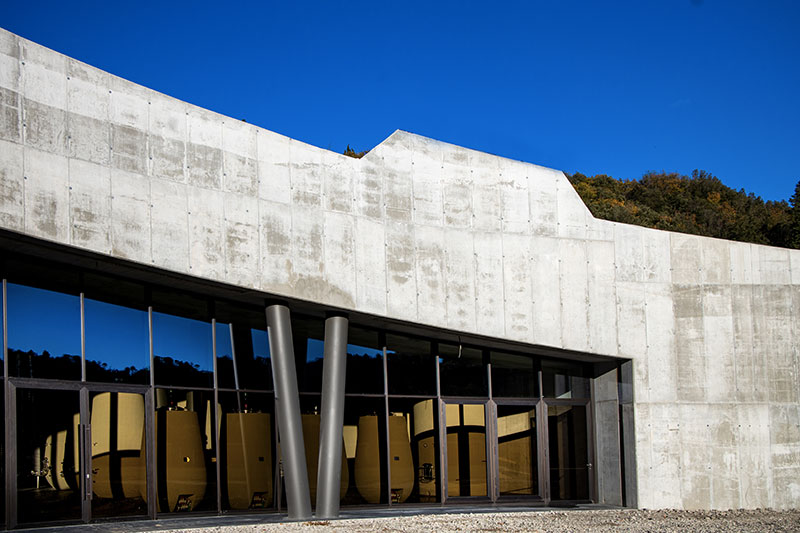 tenutaceri-winery-G05