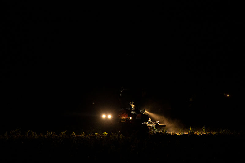 tenutaceri-winery-G09
