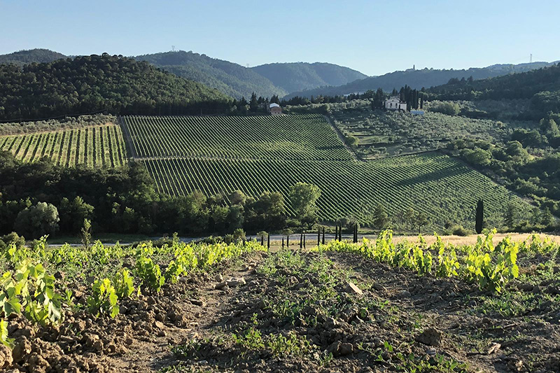 tenutaceri-winery-G11