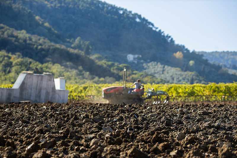 tenutaceri-winery-G16
